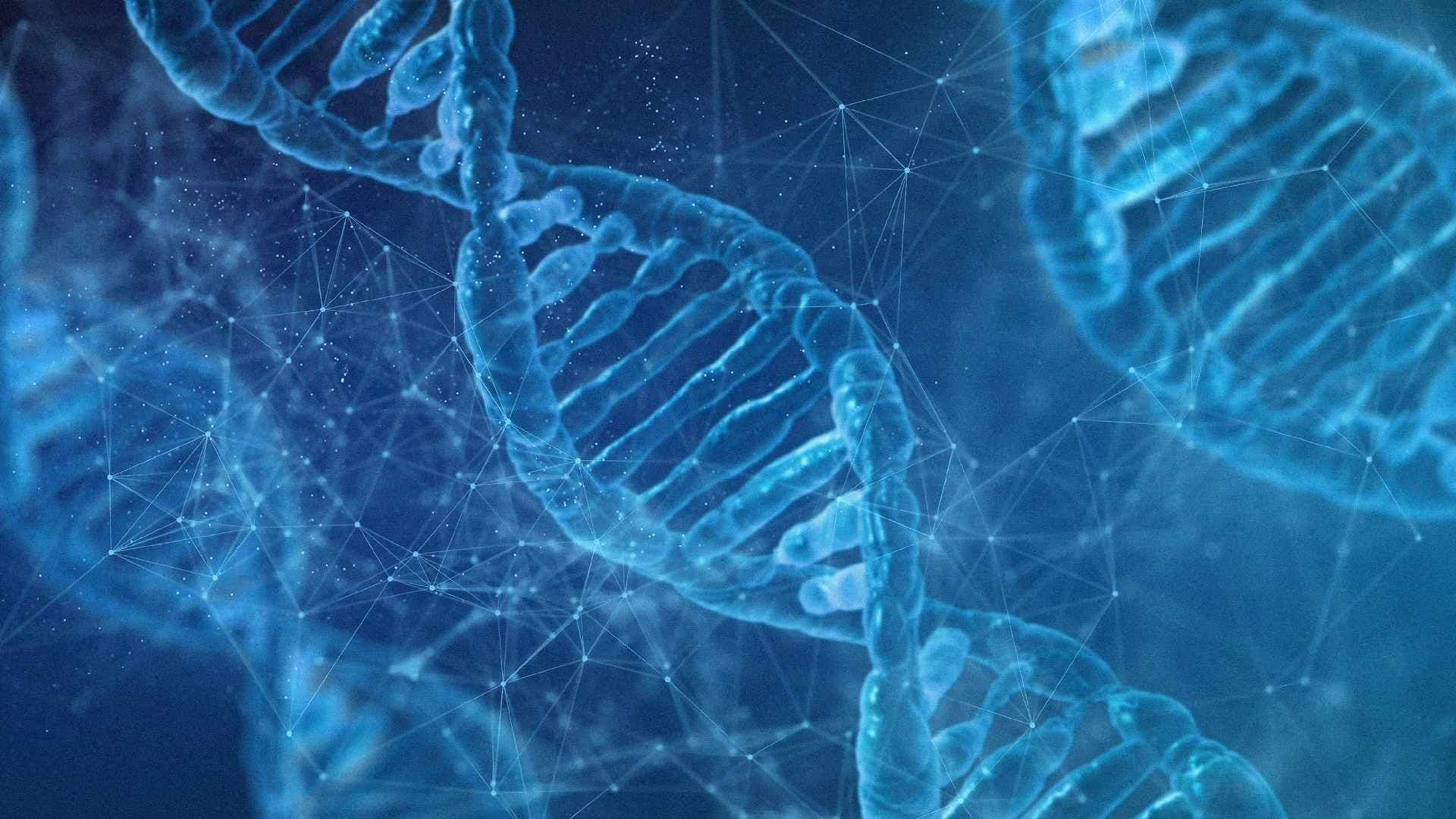 BioNTech sucht den Durchbruch mit der Krebs-Pipeline, DroneShield kämpft gegen Shortseller und Cardiol Therapeutics visiert den Rebound an!