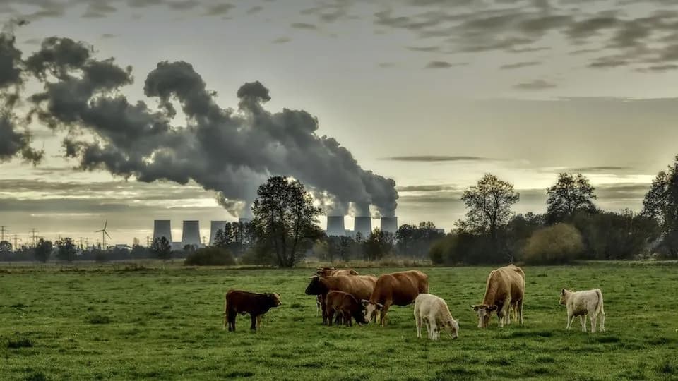 Altlasten als Goldgrube: Zefiro Methane überzeugt mit vollen Auftragsbüchern, Analysten sehen 200 % Potenzial