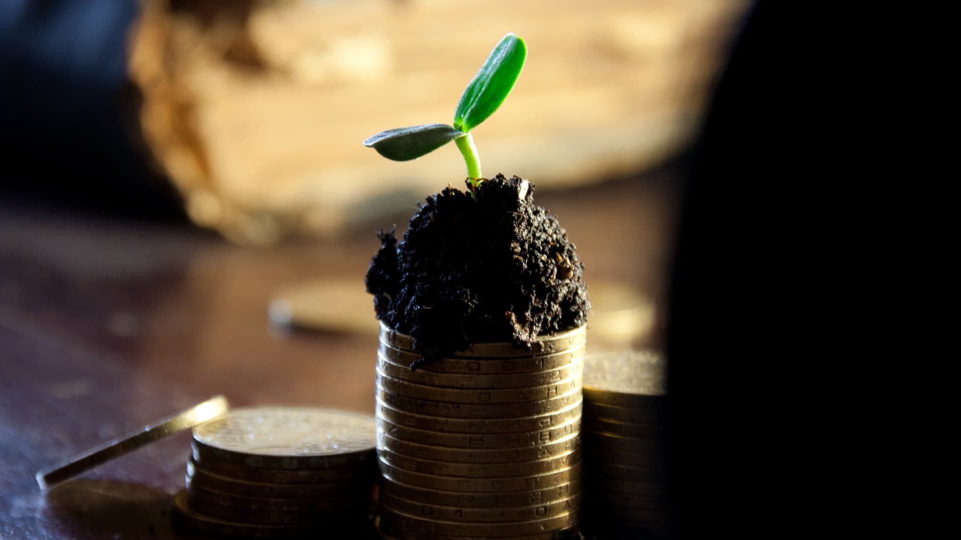 Passives Einkommen leicht gemacht: Nike, RE Royalties und Freenet als Ihre neuen Cash-Quellen